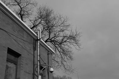 Low angle view of bare tree against sky