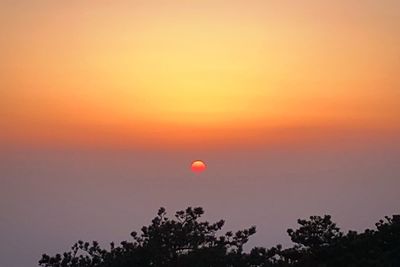 Silhouette of hot air balloon against orange sky