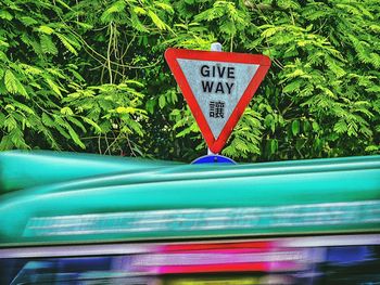 Close-up of road sign by plants
