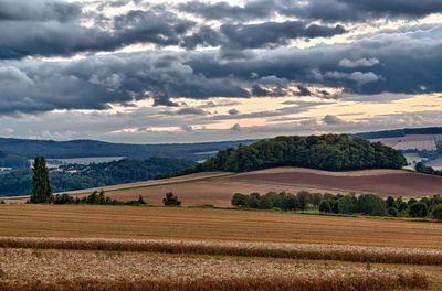 Scenic view of field against sky