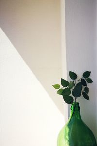 Close-up of vase on plant at home