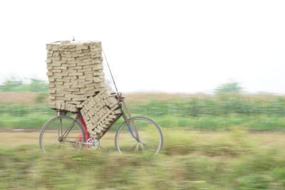 basket