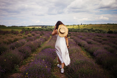 Woman walking in lavender field
