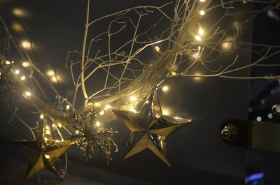 Close-up of illuminated christmas tree at night