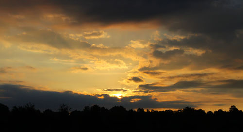 Silhouette of trees at sunset