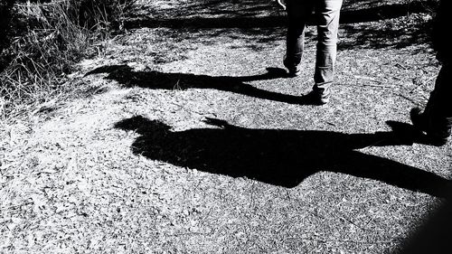 Low section of person shadow on tiled floor