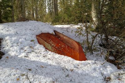 Close-up of snow on field in forest