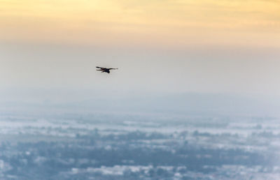 Airplane flying in sky