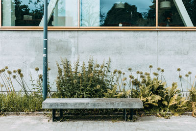 Urban growth. a park bench surrounded by concrete and a flower plantation.