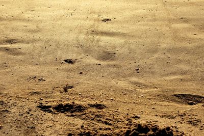 Full frame shot of sand
