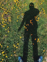 Low section of man standing in park