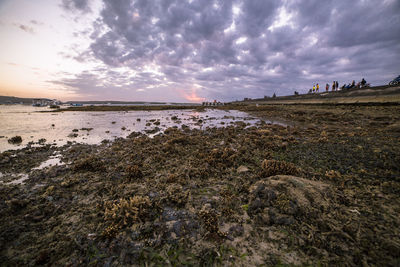 Coral reef exposed at low tide due to climatic change at sunset, nusa penida harbor, bali, indonesia