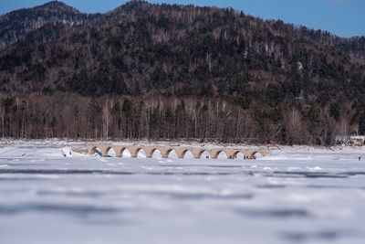 Scenic view of snow covered field