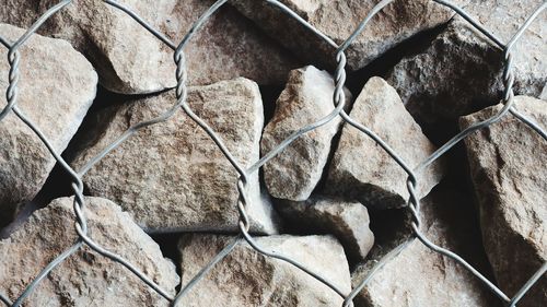 Close-up of dried leaves on rock