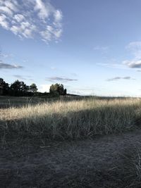 Scenic view of field against sky
