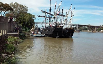 Reflection of trees in water