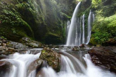 Scenic view of waterfall in forest