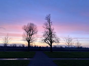 Silhouette bare trees on field against sky at sunset