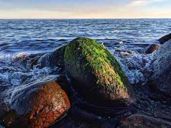 Scenic view of sea shore against sky