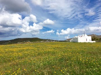 Scenic view of field against cloudy sky