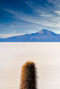 View of a desert