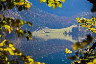 Reflection of trees in lake against sky