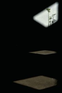 Close-up of paper against black background
