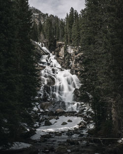 Scenic view of waterfall in forest