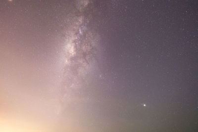 Low angle view of star field against sky at night