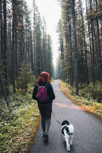 Rear view of woman standing in forest