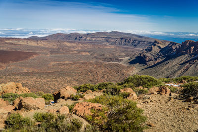 Scenic view of landscape