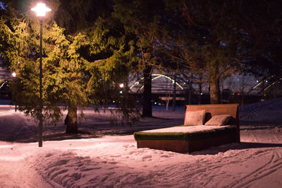 Illuminated trees against sky at night