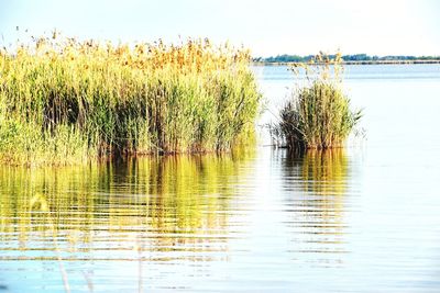 Scenic view of lake against sky