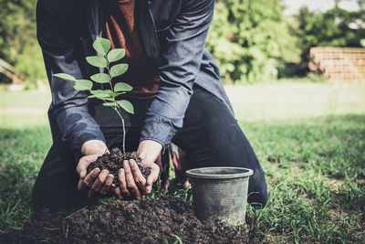 Midsection of man holding sapling on field