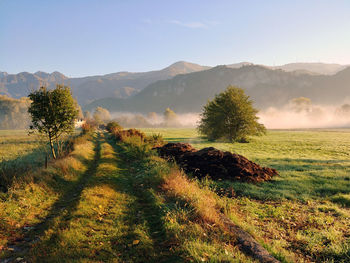 Scenic view of field against sky