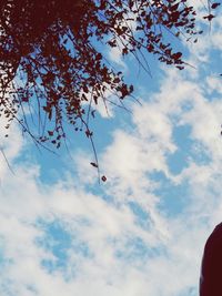 Low angle view of tree against sky