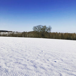 Scenic view of snow covered field against clear blue sky