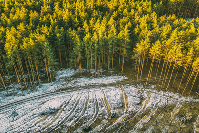 Aerial view of snow on field by forest