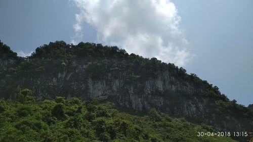 Low angle view of trees against sky