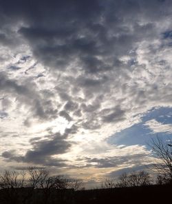 Scenic view of silhouette trees against sky during sunset