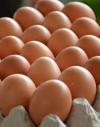 Close-up of eggs in row