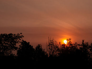 Silhouette trees against sky during sunset