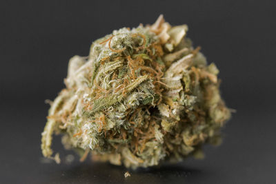 Close-up of marijuana on black background