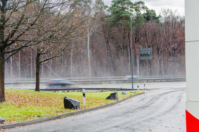 Scenic view of trees alongside highway