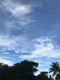 Low angle view of trees against sky