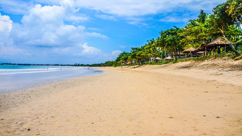 View of palm trees on beach