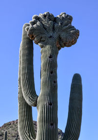 Low angle view of statue against clear blue sky