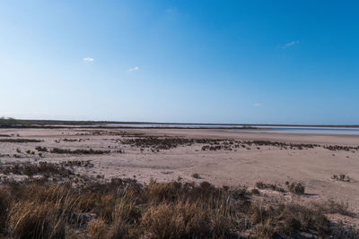 Scenic view of beach against blue sky