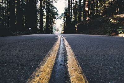 Empty road amidst trees