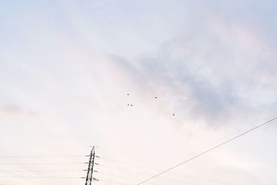 Low angle view of birds flying over power line